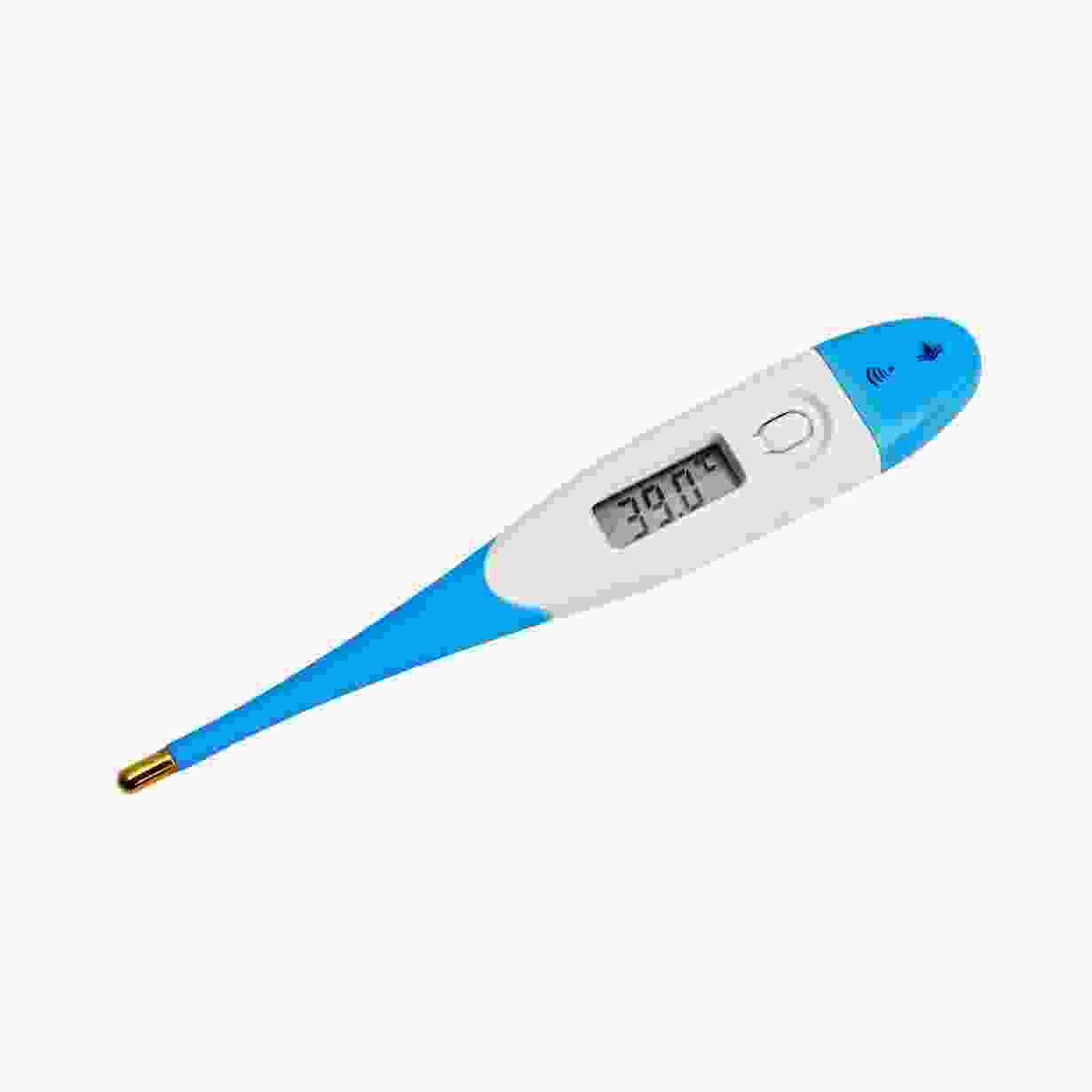 Digital Thermometer